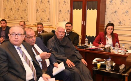 "نائب كفرالشيخ علي أبو أحمد" يطالب الحكومة بزيادة سعر بنجر السكر دعماً للفلاح 