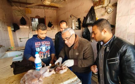 تفعيل الرقابه التموينيه لضبط الأسعار بشمال سيناء