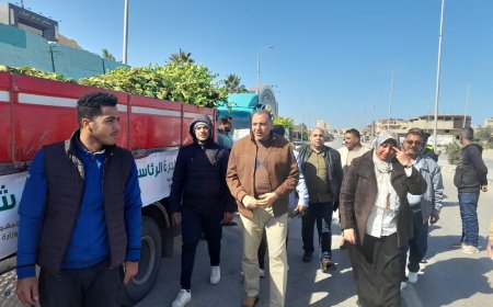 بعنوان هتتخضر مبادرة الرئيسيه لزراعه 106ألف شجره بشمال سيناء