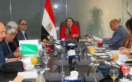 د. ياسمين فؤاد تستعرض إنجازات تطوير القطاع البيئي خلال الأربع السنوات الماضية