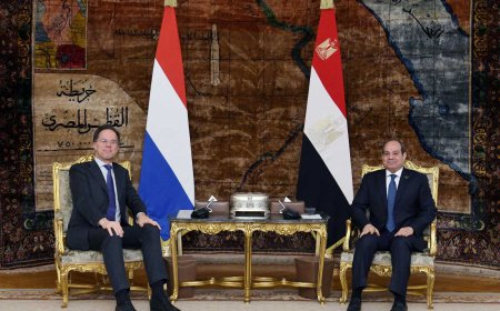 كلمة الرئيس السيسي خلال المؤتمر الصحفي مع رئيس وزراء هولندا بقصر الاتحادية