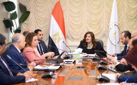 وزيرة الهجرة تترأس اجتماع لجنة "توحيد قاعدة بيانات المصريين بالخارج"