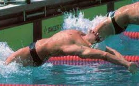 الفريق المصرى للسباحة بالزعانف يحقق إنجازا بحصوله على 40 ميدالية ببطولة كأس مصر