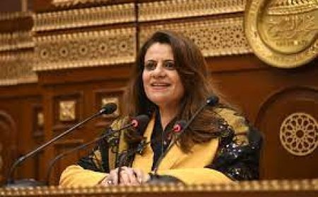 وزيرة الهجرة: لدينا 14 مليون مصرى بالخارج