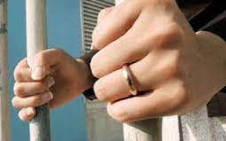 الميراث الملعون ينهى حياة تاجر الموبيليا