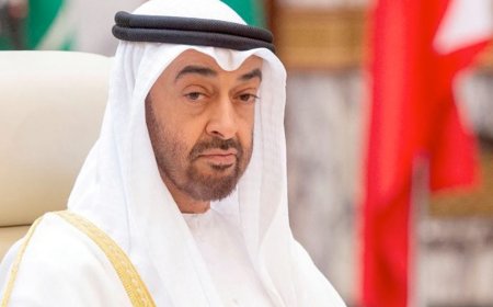 رئيسا الإمارات وأنجولا يبحثان علاقات التعاون بين البلدين