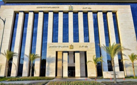 -9 مكاتب تمثيل عمالي بالخارج تلعب دورًا في حماية ورعاية العمال المصريين وتوعيتهم بحقوقهم وواجباتهم..