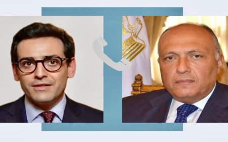 شكرى ينقل لنظيره الفرنسي تقدير مصر للجهود التي تبذلها فرنسا  لوقف إطلاق النار في غزة