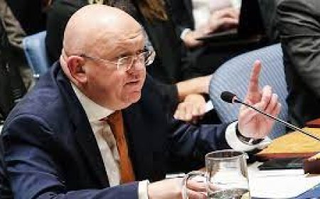 مندوب روسيا بمجلس الأمن: مشروع القرار الأمريكى بوقف إطلاق النار فى غزة مسرحية