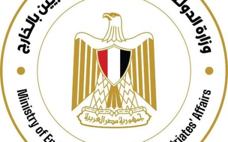 وزارة الدولة للهجرة وشئون المصريين بالخارج، على كل المقيمين خارج مصرالتسجيل في مبادرة "سيارات المصريين بالخارج"