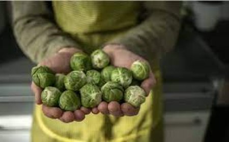 3 خضراوات تناولها يوميا.. تحمك من السرطان