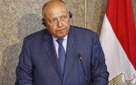 وزير الخارجية يؤكد لنظيره الروسى تضامن مصر الكامل مع موسكو ضد الإرهاب