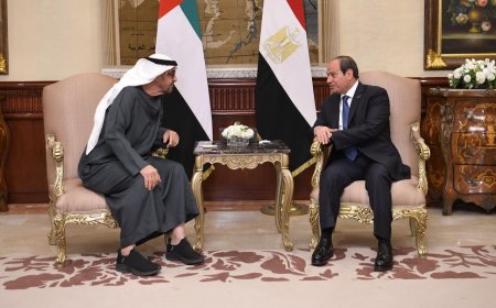 المتحدث الرئاسي ينشر صور استقبال الرئيس السيسي نظيره الإماراتي