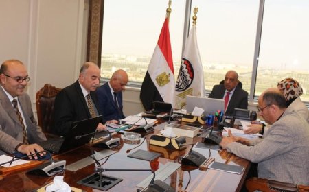 وزير قطاع الأعمال العام يستعرض خطة تطوير فروع التجارة الداخلية بالتعاون مع القطاع الخاص