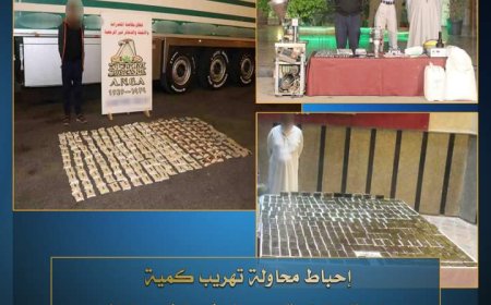 ضبط تشكيل عصابي تخصص تصنيع مواد مخدرة 