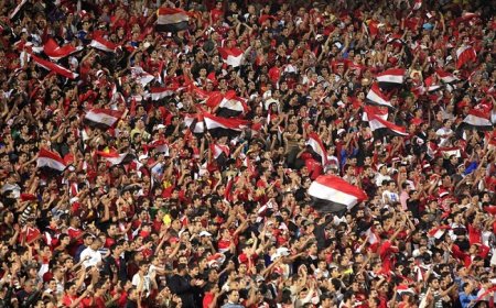 أتوبيسات مجانية لنقل الجماهير إلى ملعب مباراة مصر وكرواتيا