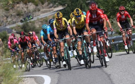 "بويل" يتوج بلقب سباق تور أوف فلاندرز للدراجات للمرة الثالثة