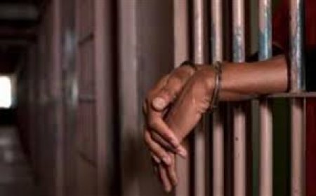 المؤبد لعاطل أنهى حياة آخر لخلافات سابقة في بولاق الدكرور