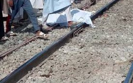 مقتل شخص أسفل عجلات قطار مدينة أسوان