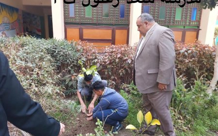 توزيع 12 ألف شجرة مثمرة على مدارس الغربية