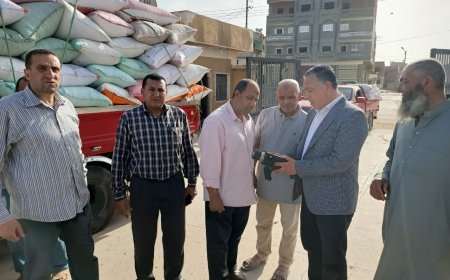 2608 أطنان قمح إلى مواقع التوريد في كفرالشيخ