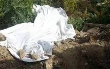 مقتل مزارع في الشرقية بسبب قطعة أرض