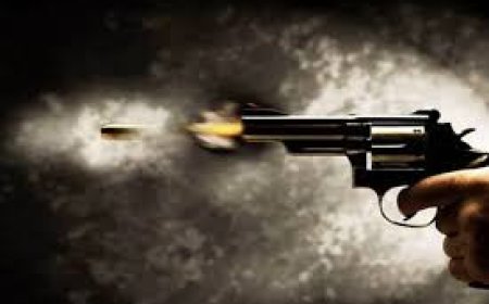 شاب ينهى حياة والدته بالدقهلية