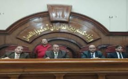 تأجيل محاكمة المتهم بإشعال النيران فى والدته لشهر مايو لمرافعة الدفاع