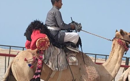 محافظ شمال سيناء يوجه الشكر لرئيس شركات العرجاني جروب لرعايه لسباق الهجن