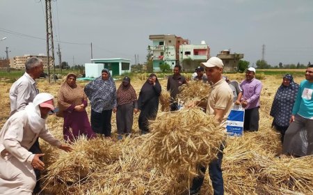 محافظ كفرالشيخ: إستمرار حصاد وتوريد القمح بـ 25 شونة بالمحافظة .. وإنتظام صرف مستحقات المزارعين