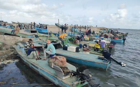 بعد فتره المنع التي امتنعت شهور شوشه يفتتح موسم الصيد بالبردويل