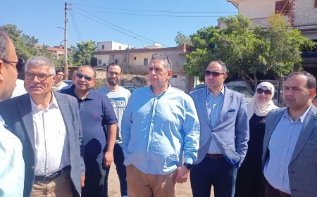 محافظ كفرالشيخ: وفد وزارة الصحة يختتم زيارته لمستشفيات المحافظة لمتابعة جاهزيتها لتطبيق منظومة التأمين الصحى الشامل