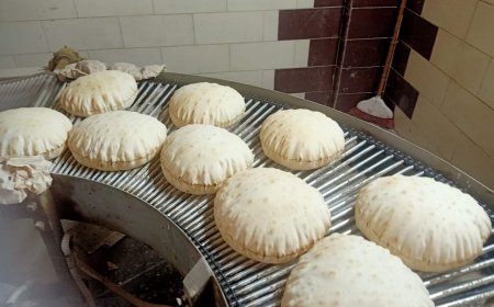 محافظ كفرالشيخ: تحرير 8 محاضر تموينية لأصحاب المحال التجارية والمخابز المخالفة بقلين