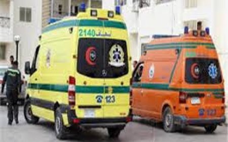 مصرع شخص وإصابة 5 أخرين خلال جلسة صلح بكفر الشيخ