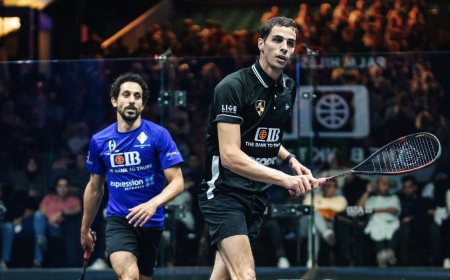 3 لاعبين مصريين يتأهلون للدور نصف النهائي من بطولة "CIB" العالم للإسكواش المقامة في نادي بالم هيلز ومتحف الحضارة