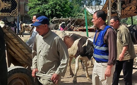 تحت مظلة حياة كريمة معهد التناسليات الحيوانية و الطب البيطري  ينظمان قوافل لـ 6 مراكز بكفرالشيخ