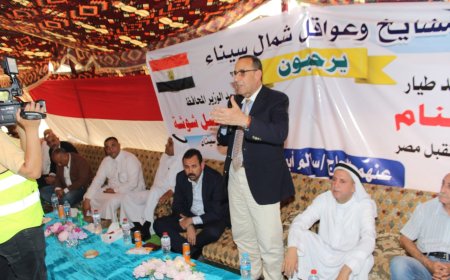 الغنام حصر الأراضي الغير منزرعه بشمال سيناء لزراعتها وتنميتها