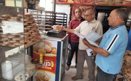 محافظ كفرالشيخ: تحرير 15 محضرًا تموينيًا بالحامول