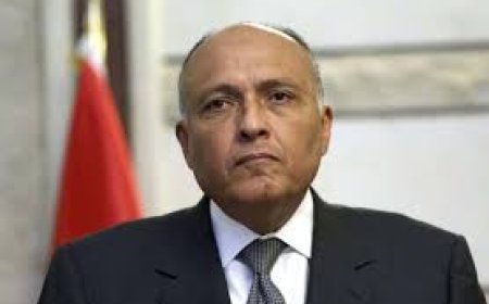 شكرى يتوجه إلى طهران للمشاركة في مراسم العزاء الرسمي للرئيس الإيراني