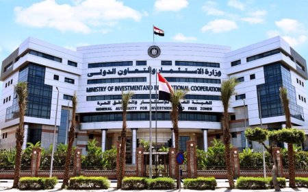 الهيئة العامة للاستثمار تبحث مع الشركات التركية فرص الاستثمار في قطاع السياحة المصري