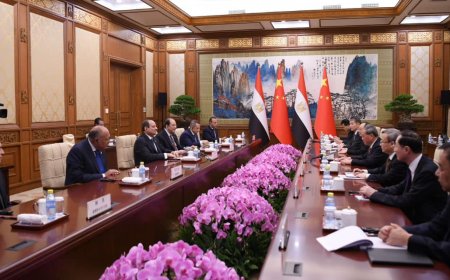 لقاء الرئيس السيسي بـ رئيس مجلس الدولة الصيني