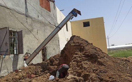 مؤسسه مدينتي تطلق مبادره إعاده إستخدام مخلفات الزيتون