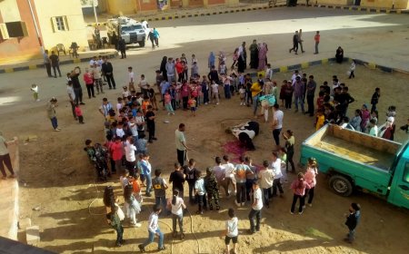 إحتفالا بعيد الأضحى ذبح أضحيه وتوزيعها علي الأخوه الفلسطينيين بالسبيل