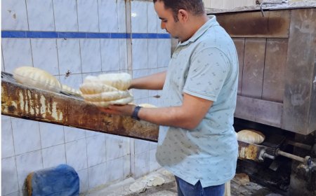 محافظ كفرالشيخ: تحرير 9 محاضر تموينية بدسوق 