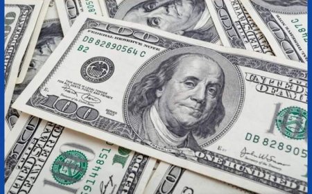 سعر الدولار مقابل الجنية اليوم في البنوك المصرية