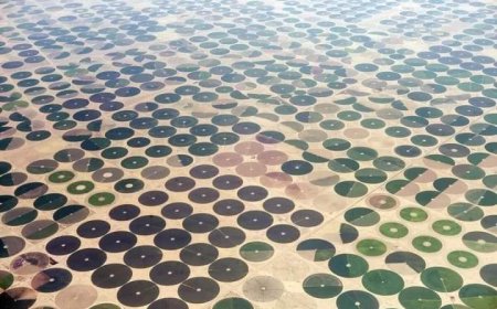 مشروع وُضع حجر أساسه منذ سنوات والان ننتهي من المرحلة الأولى«توشكي»