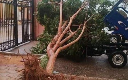 أسوان اليوم: كارثة التغيّر المناخي من جديد