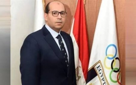 إدريس : البعثة المصرية لم تتلقي أى تحذيرات في باريس وما يتردد عن وقعة التحرش شائعة مغرضة 