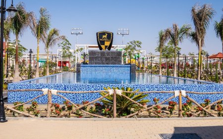 "وادى دجلة"..يفتتح النادي العاشر بمدينة المنيا الجديدة ويعزز انتشاره بالمحافظات 