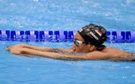 ياسر إدريس يرد على فريدة عثمان: تحاول تبرئة نفسها أمام الرعاة والرأي العام